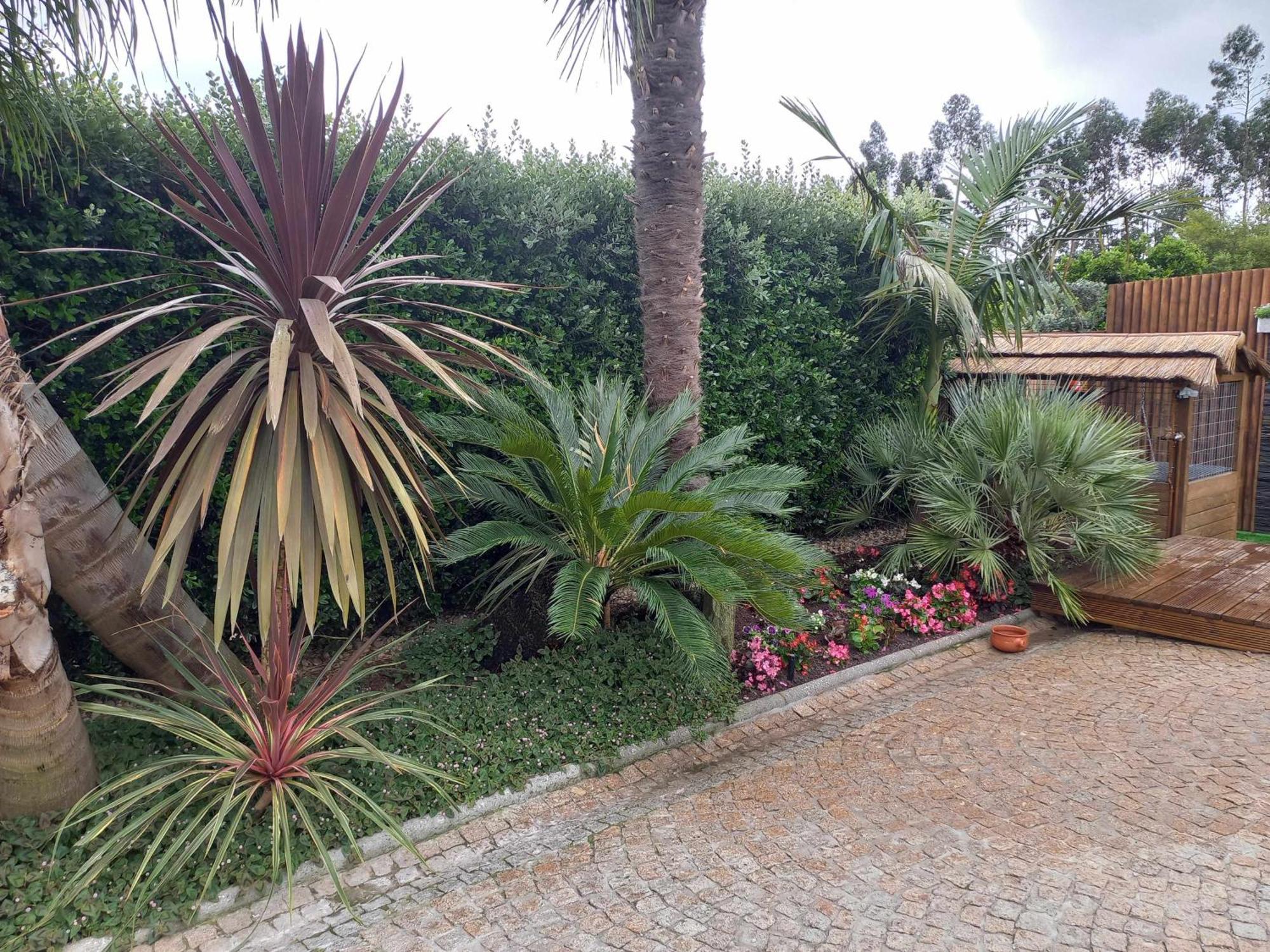 Currais O Pequeno Paraiso Entre O Mar E A Serra Aveiro Exteriör bild