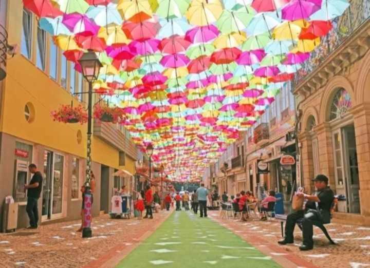 Currais O Pequeno Paraiso Entre O Mar E A Serra Aveiro Exteriör bild